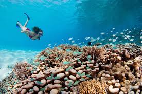 Meemu Atoll Snorkeling